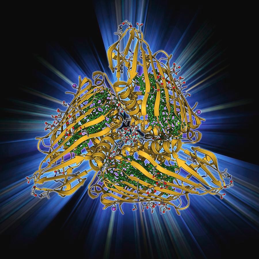 What quantum neuroscience can learn from biophysics
